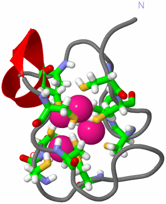 Image NMR Structure - model 1, sites