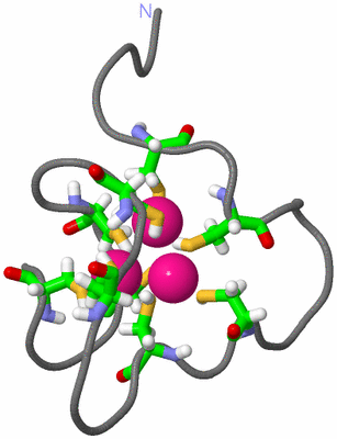 Image NMR Structure - model 1, sites