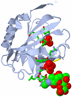 Image Biol. Unit 1 - sites