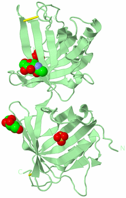 Image Biological Unit 3