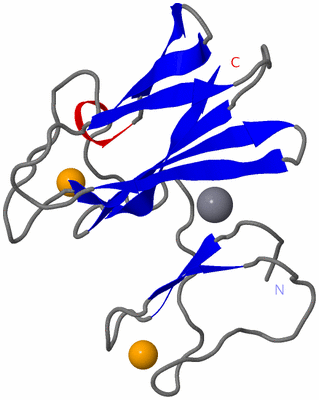 Image Asymmetric Unit