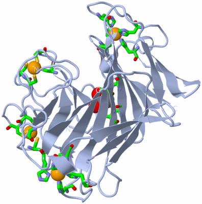 Image Biol. Unit 1 - sites