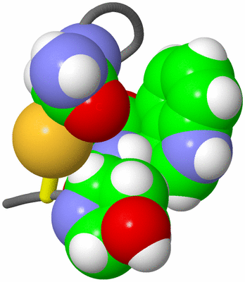 Image NMR Structure - model 1