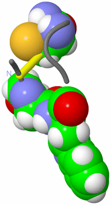 Image NMR Structure - model 1