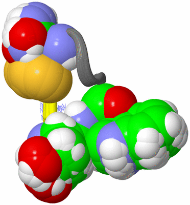 Image NMR Structure - all models