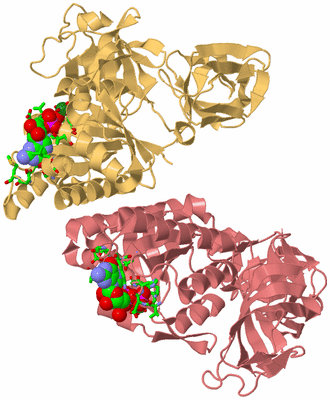 Image Asym./Biol. Unit - sites