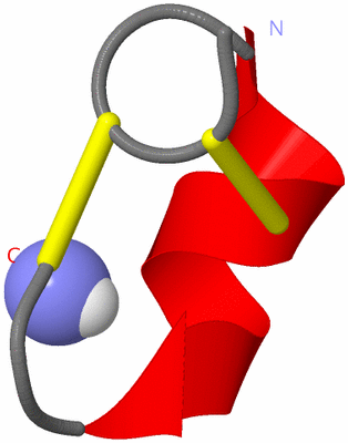 Image NMR Structure - model 1