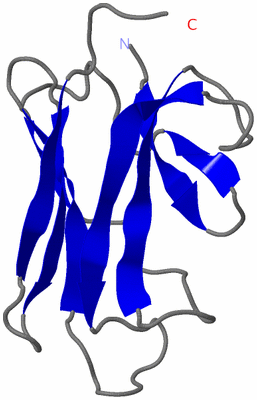 Image NMR Structure - model 1