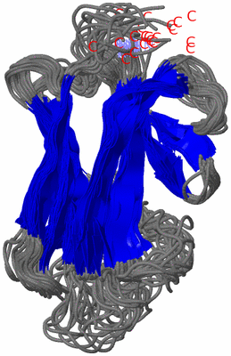 Image NMR Structure - all models