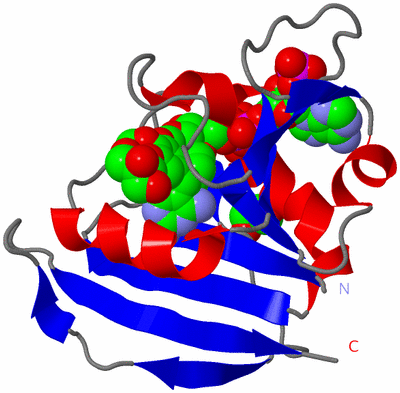 Image Asym./Biol. Unit