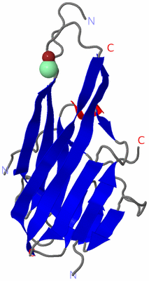 Image Asymmetric Unit