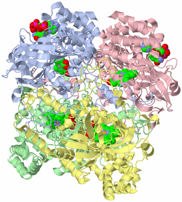 Image Asym./Biol. Unit