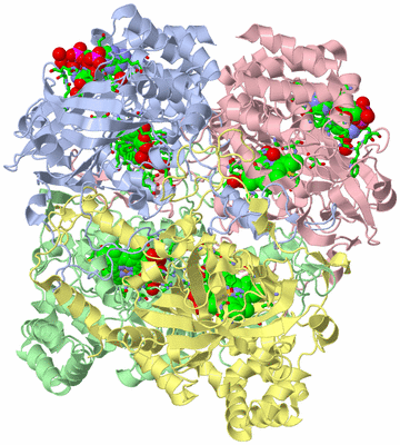 Image Asym./Biol. Unit - sites