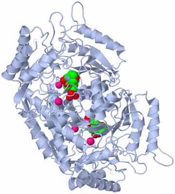 Image Biological Unit 2