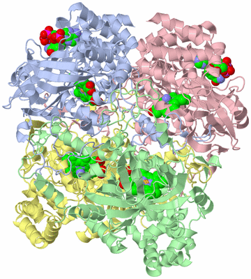 Image Asym./Biol. Unit