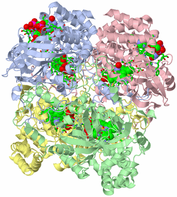 Image Asym./Biol. Unit - sites