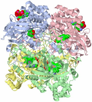 Image Asym./Biol. Unit