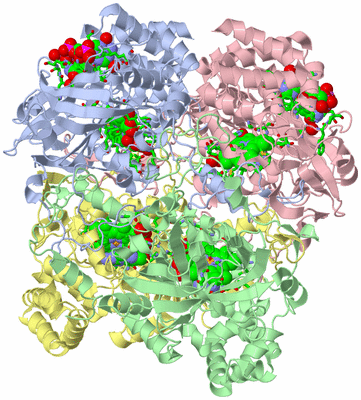 Image Asym./Biol. Unit - sites