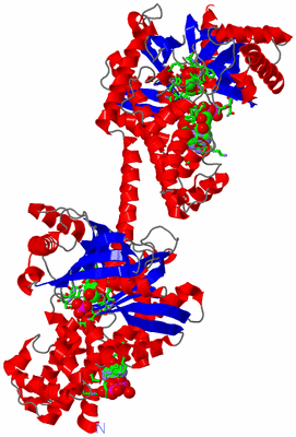 Image Asym./Biol. Unit - sites