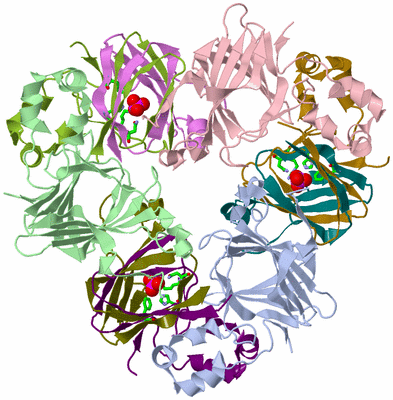 Image Asym./Biol. Unit - sites