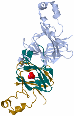 Image Asymmetric Unit
