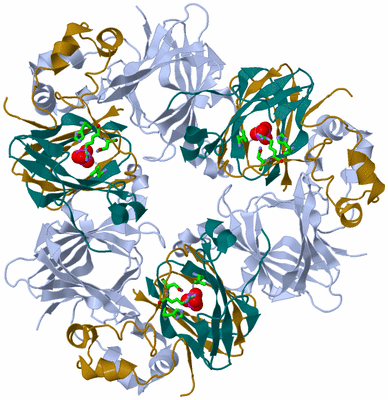 Image Biol. Unit 1 - sites