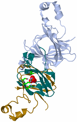 Image Asym. Unit - sites