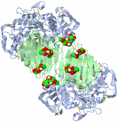 Image Biological Unit 1