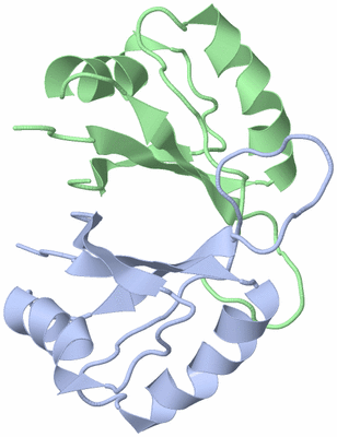 Image NMR Structure - model 1