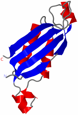 Image Asymmetric Unit