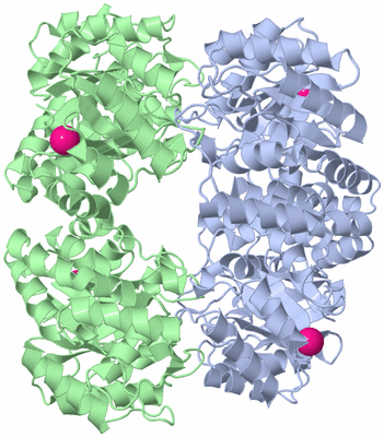 Image Biological Unit 1