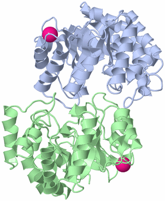 Image Biological Unit 2