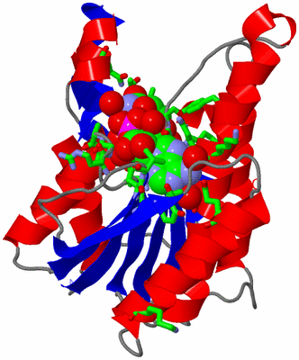 Image Asym. Unit - sites