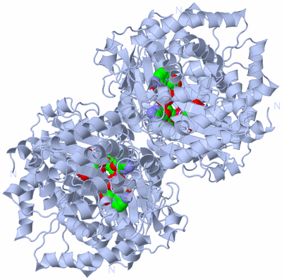 Image Biological Unit 1