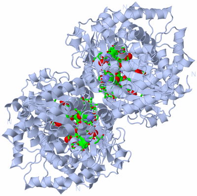 Image Biol. Unit 1 - sites