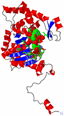 Image Asym. Unit - sites