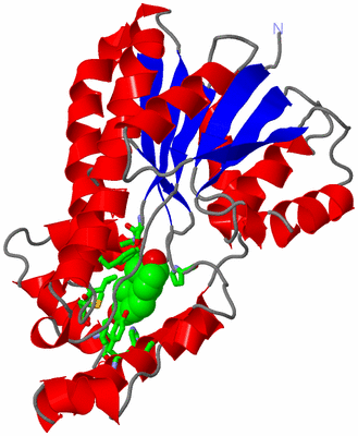 Image Asym. Unit - sites