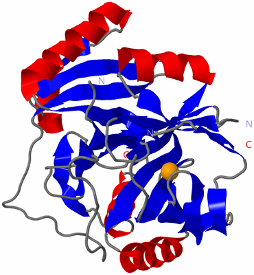 Image Asymmetric Unit