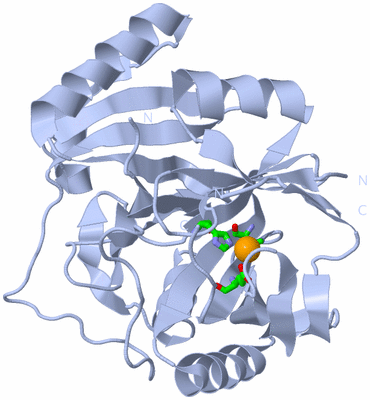 Image Biol. Unit 1 - sites