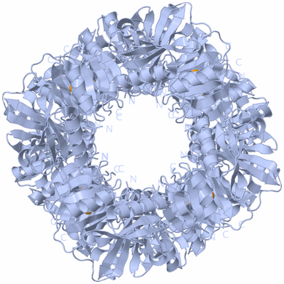 Image Biological Unit 2