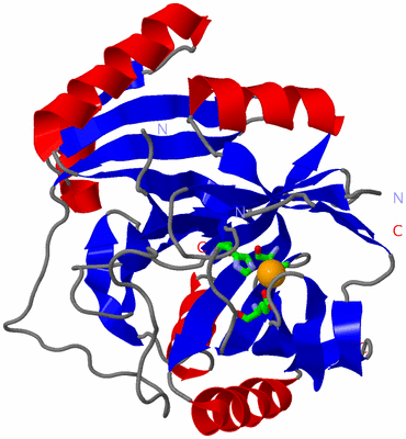 Image Asym. Unit - sites