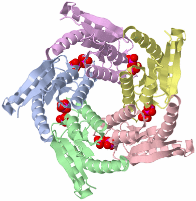 Image Biological Unit 1