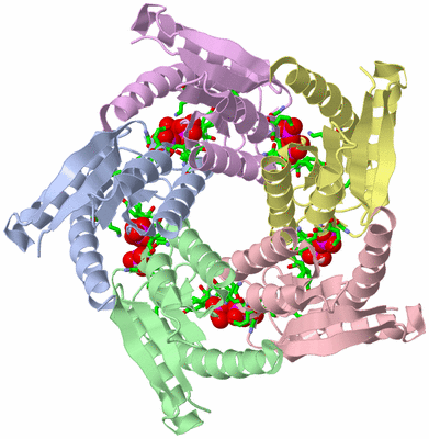 Image Biol. Unit 1 - sites