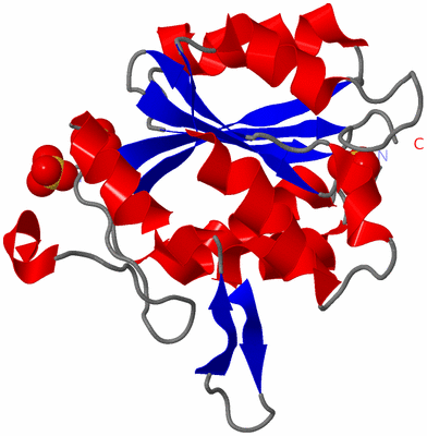 Image Asymmetric Unit