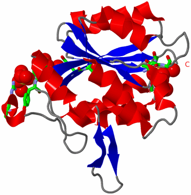 Image Asym. Unit - sites