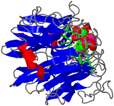 Image Asym./Biol. Unit - sites