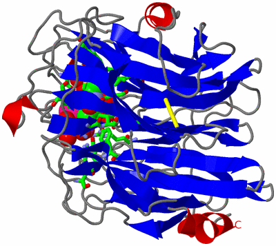 Image Asym./Biol. Unit - sites