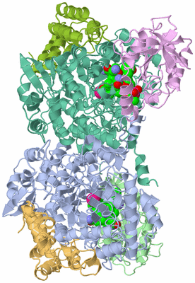 Image Asym./Biol. Unit