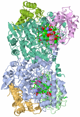 Image Asym./Biol. Unit - sites