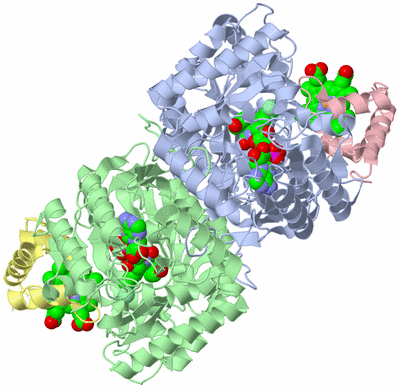 Image Asym./Biol. Unit